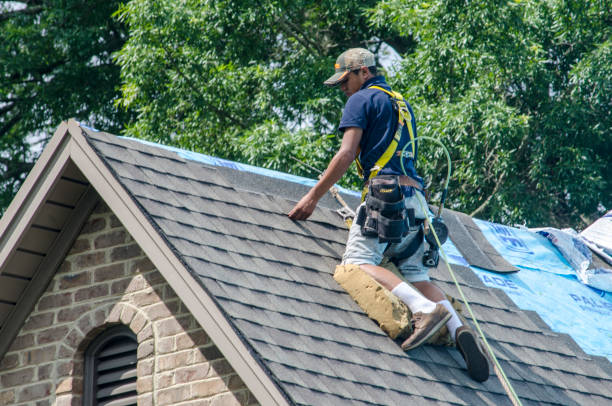 Best Roof Restoration Services  in Purcellville, VA